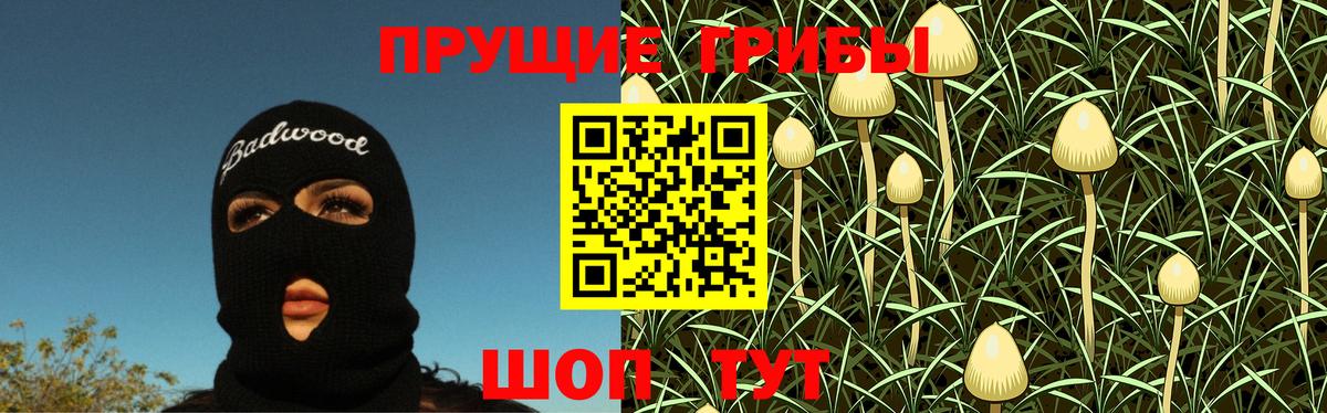 купить   Галлюциногенные грибы Cubensis  Галлюциногенные грибы Magic Shrooms  Вход с VPN  Елец 